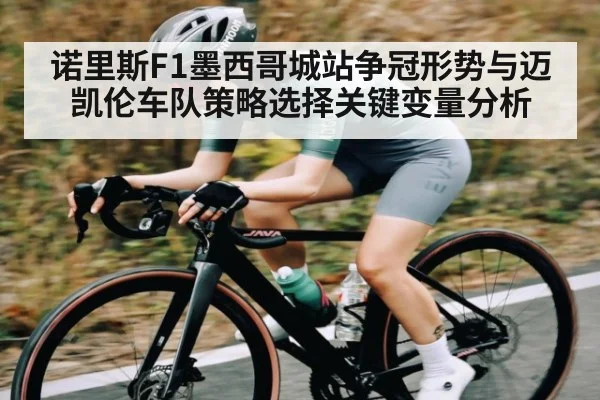 诺里斯F1墨西哥城站争冠形势与迈凯伦车队策略选择关键变量分析